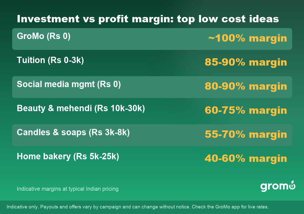 Table comparing investment and profit margins of low cost business ideas in India